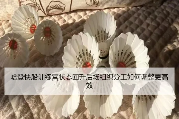 哈登快船训练营状态回升后场组织分工如何调整更高效